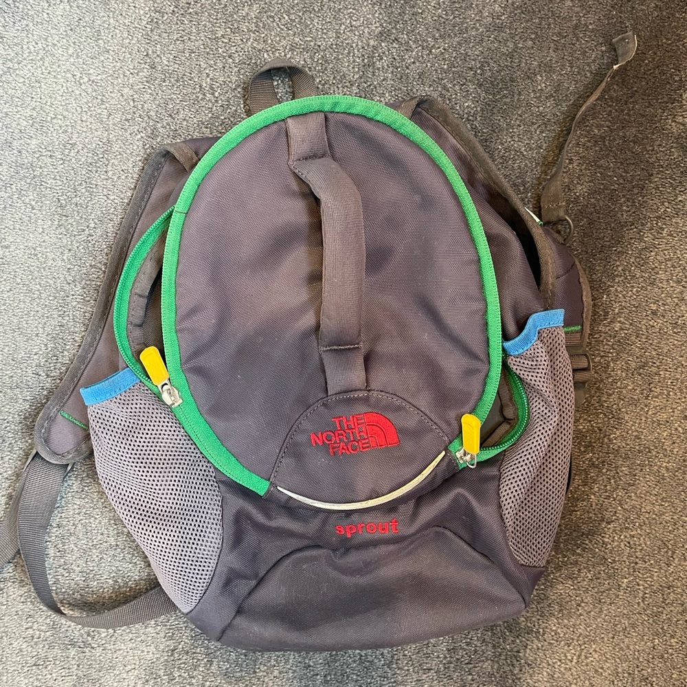 The North Face Kid’s Purple Backpack